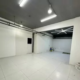 Taze gurtly podwal arenda