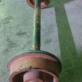 gantel sport enjamlary.