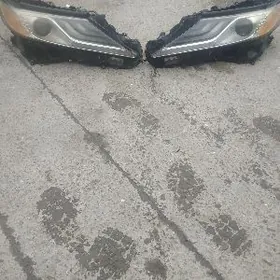 camry yewrapeyka fara