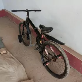 sport welik sport welik