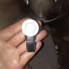 парктроник