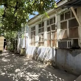 Р/Н ТЕКИНКИ