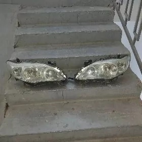 corolla haliji chyra