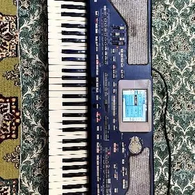Korg Pa800