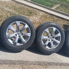 16lyk diska pakriska