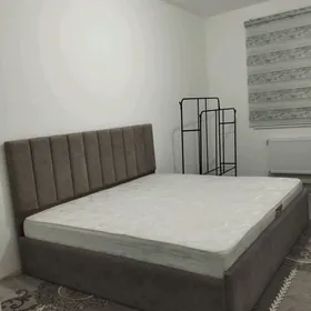 MIR.  8.    3 OTAGLY