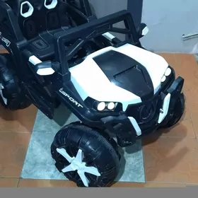 Elektrik çaga maşyn ussa