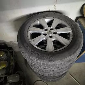 17-lik diska pakrişka