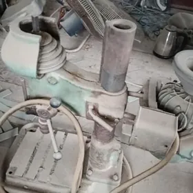 Direl cuy cuyleyan satlyk