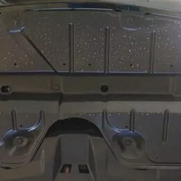 Venza Plasmas zaşitasy