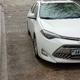 Toyota Corolla 2016
