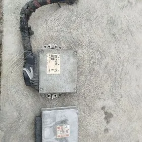 kompyuter 2 kerpiç matorynky.