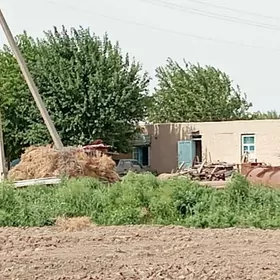 Satlyk ÿer, jaÿ,Malÿatak.