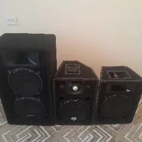 Toý Kolonka 12"-lik.