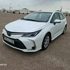 Toyota Corolla 2024