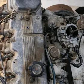 Pajera mator karopga