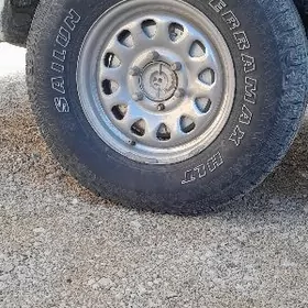 16 хром дисга