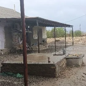 jay satlyk galany janda