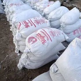 ARASSA DERS ÇÄGE SEMENT MITI D