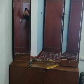 satlyk garnatul Swaner