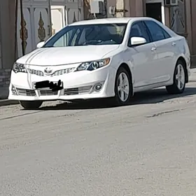 palta kemiri disge 17 lik