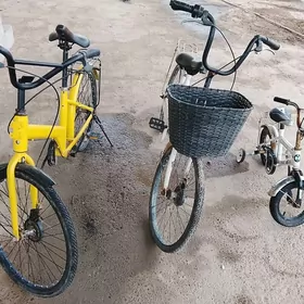 tigirler welsepitler