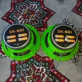 Kalonka voice sk601, opel