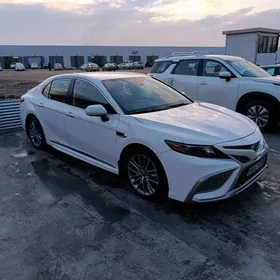 Toyota Camry 2021