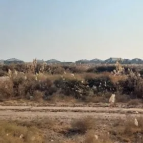 сатлик жай ер