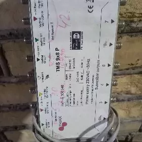 мултисвичь