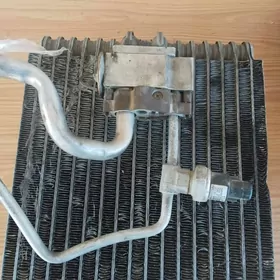 readiyatr kanissener