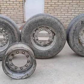 Pirissep baraban dysga p tigir