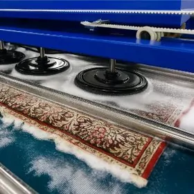 HALY HIMÇISTKA / CARPETClEANER