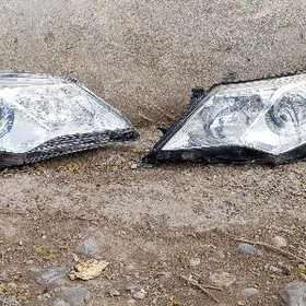 Fara Palta camry oni