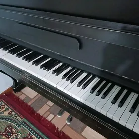 pianino