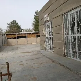 Satlyk Magazyn Mary gresda