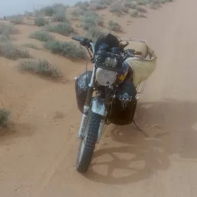 Fekon FK200-14G 2018