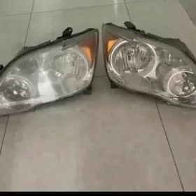 Awalon 2008-10 faralary origin