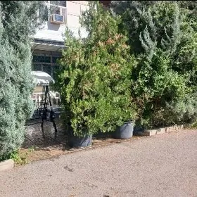 Аренда 30мкр 1эт Arenda Сдаю