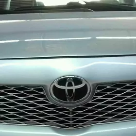 Karolla Fara es 2010