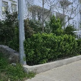 Taslama 1-etaz eyesi