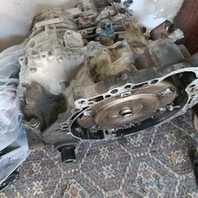 13FISKA 5SKORS KAROPGA