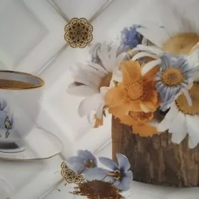 mazaŷka üçyn kafiler.