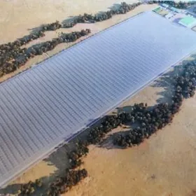 Ÿyladyşhana_Типлицца