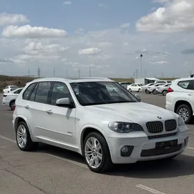BMW X5 2010