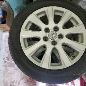 диска  пакрышка