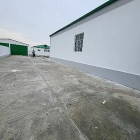 satlyk jaÿ 30.ÿyllyk elitga