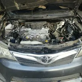 Toyota palta camry morda taze gelen