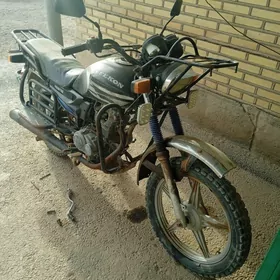 Fekon FK200-14G 2023