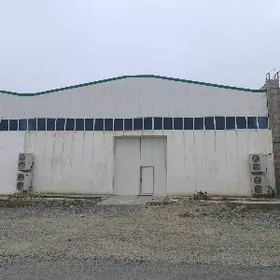 Ammarlar Toplumy Sklad